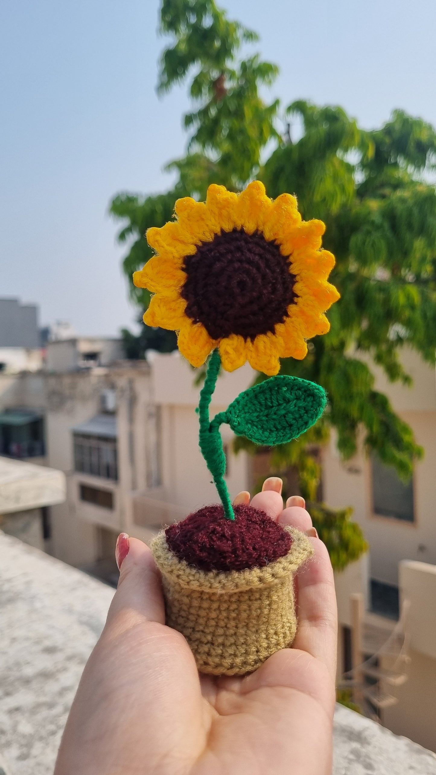 Sunflower Pot